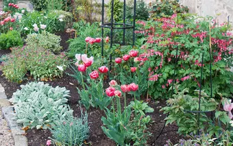 6 Tips For Low Maintenance Gardens