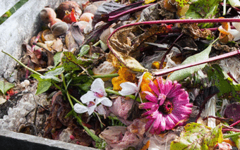 What To Do With Garden Waste