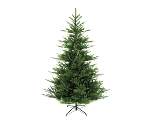 6FT NORDMAN FIR TREE