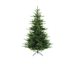 7FT NORDMAN FIR TREE