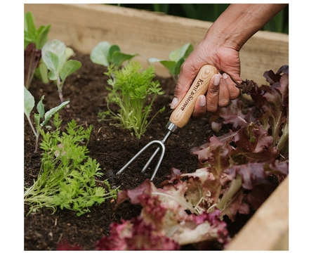 KENT & STOWE GARDEN LIFE HAND CULTIVATOR FSC - image 2