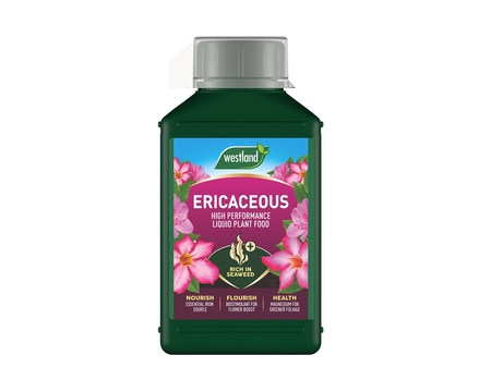 WESTLAND ERICACEOUS LIQUID FEED 1L